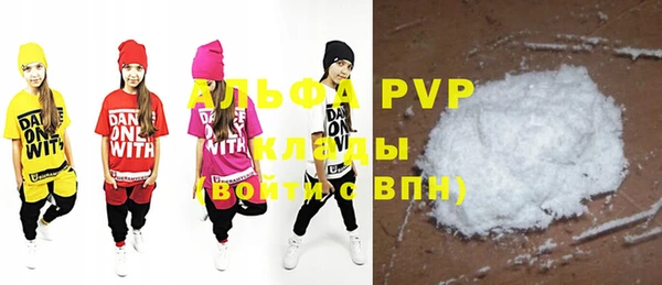 индика Магас