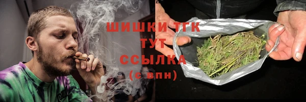 индика Магас