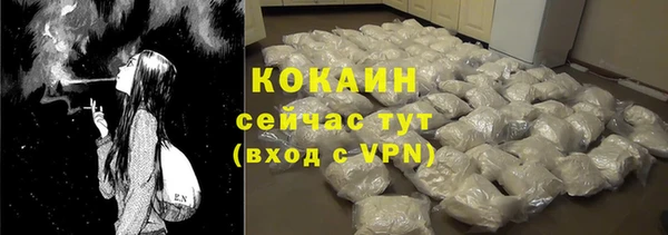 индика Весьегонск