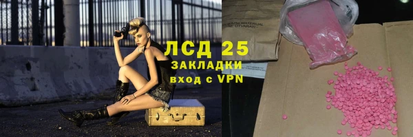 индика Магас