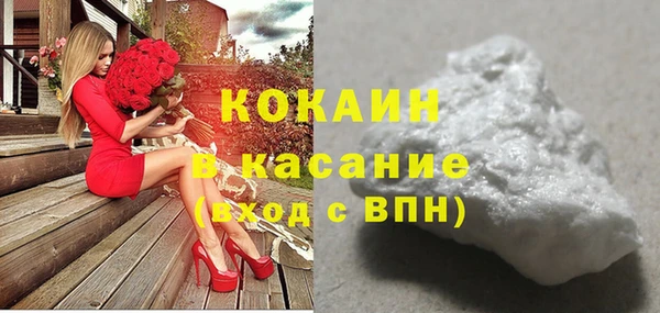 индика Магас