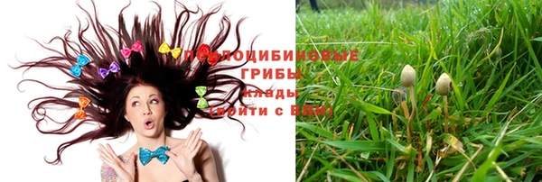 герыч Магадан