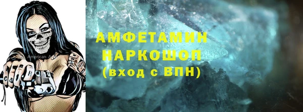 индика Магас